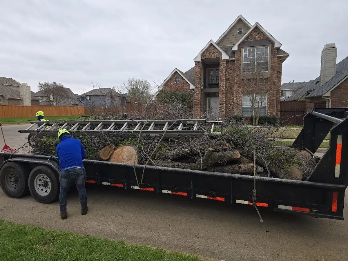 Expert Tree Fertilization with proper safety equipment in Harrison
